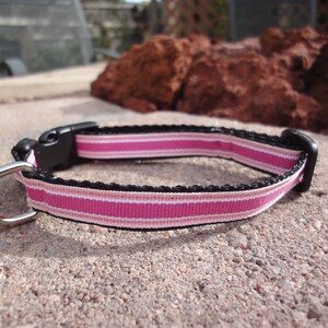 1/2&quot; Width Dog Collar - Berrysicle Preppy Stripe