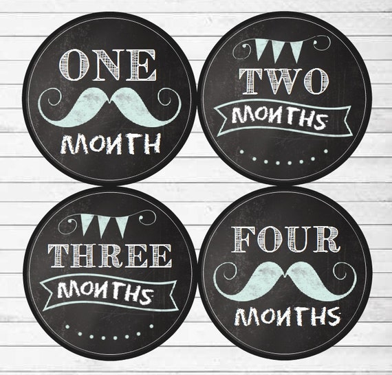 monthly baby stickers baby boy month stickers milestone etsy