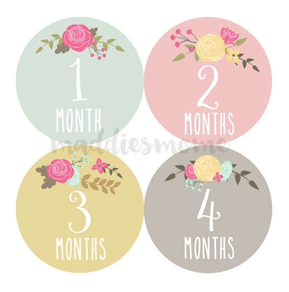 Baby Girl Month Stickers Monthly Baby Stickers Milestone Baby | Etsy