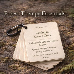May include: A stack of cream-colored cards with the text "Forest Therapy Essentials" and "Getting to Know a Creek." The cards are held together by a black carabiner clip. The background is a natural, earthy setting.