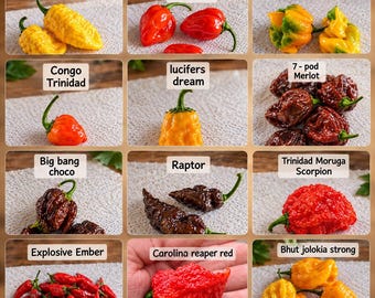 12 variedades de semillas de pimiento. Raptor, C. Reaper Red, Veltrix, Merlot de 7 vainas, Bhut Jolokia Strong y Trinidad Moruga Scorpion. Mínimo 10 semillas.
