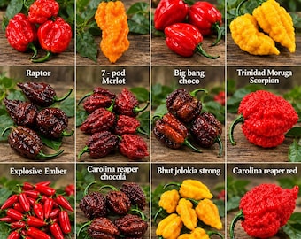 12 variedades de semillas de pimiento. Raptor, Red C. Reaper, Chocolate C. Reaper, Merlot de 7 vainas, Bhut Jolokia Strong y Trinidad Moruga Scorpion. Mínimo 10 semillas.