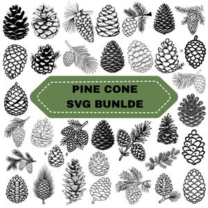 Op de afbeelding: Een verzameling zwart-wit lijntekeningen met diverse dennenappels en dennentakken. Een centraal groen zeshoekig label bevat de tekst PINE CONE SVG BUNDLE. De ontwerpen tonen verschillende texturen en vormen van de dennenappels.