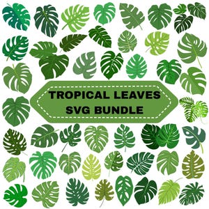 May include: A selection of green tropical leaves, including monstera, in various shades, set against a white backdrop. The leaves are arranged in a pattern. The text "TROPICAL LEAVES SVG BUNDLE" is on a green banner.