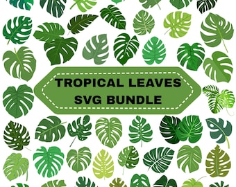 Tropical Leaves Svg Bundle: Monstera Leaf Clipart,Greenery,Cricut and Silhouette (Digital Download)