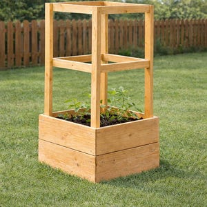 May include: A wooden raised garden bed with a trellis structure. The rectangular planter box is made of light-colored wood and contains soil and small green plants. The trellis frame is above the planter, and the structure is set on a grassy lawn.