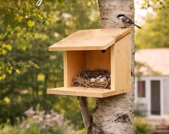 Large Wooden Birdhouse Plans | Beginner DIY Nest Box PDF