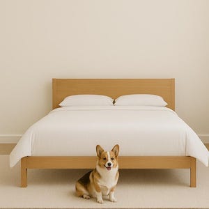 Może przedstawiać: Jasne drewniane łóżko z białą kołdrą i poduszkami. Pod łóżkiem znajduje się beżowy dywan. Trójkolorowy pies Corgi siedzi przed łóżkiem, patrząc w kamerę.