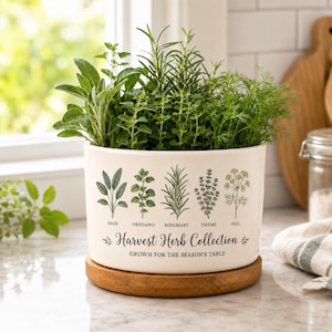 May include: A white ceramic planter on a round wooden base, filled with fresh green herbs. The planter features botanical illustrations of sage, oregano, rosemary, thyme, and dill, with the text Harvest Herb Collection Grown for the Season's Table.