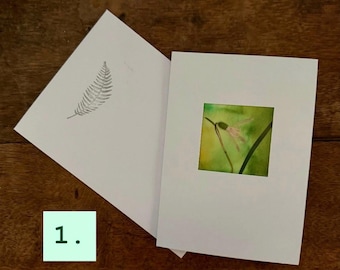 Postkarten / Botanical Art /  Unikate aus echten Wiesenblumen und Fotografie
