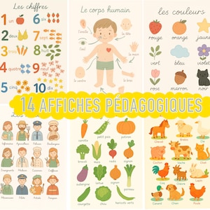 May include: Educational posters in French with colorful illustrations. Topics include numbers, the human body, colors, and various professions, animals, and vegetables. The text "14 AFFICHES PÉDAGOGIQUES" is displayed.