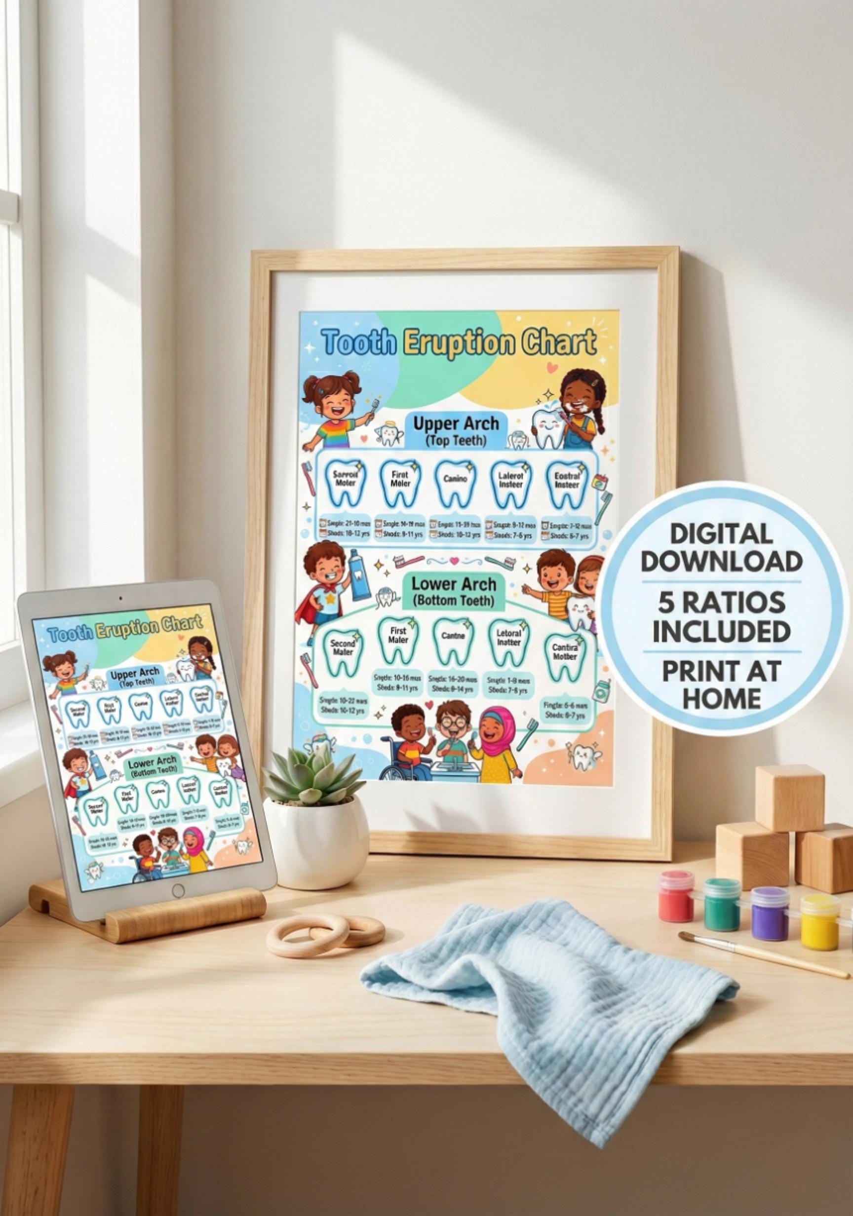 Tooth Eruption Chart Printable | Kids Dental Poster | Pediatric Dentist ...
