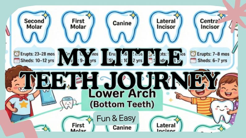 Tooth Eruption Chart Printable | Kids Dental Poster | Pediatric Dentist ...