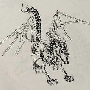 May include: Line drawing of a dragon with outstretched wings. The dragon's body is composed of interconnected lines, with a detailed spine and wing structure. The dragon is depicted in a dynamic pose, suggesting movement and flight. The artwork is in black and white.