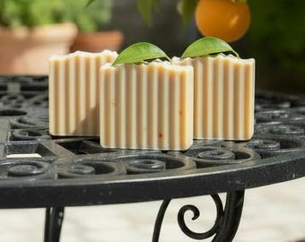 Orange Seed Soap