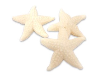 Cream White Starfish Cabochon (3) 30mm JB206