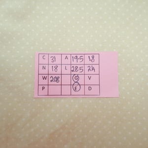Pode incluir: Uma nota retangular de papel rosa com uma grade desenhada &agrave; m&atilde;o contendo letras e n&uacute;meros manuscritos. A grade exibe os caracteres C, 31, A, 19,5, 18, N, 18, L, 28,5, 24, W, 208, G, V, P, E e D, com as letras G e E circuladas a tinta.