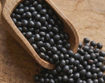 Soja negra del Himalaya 500 g (17,6 oz) / Soja negra entera seca / Soja negra india / Legumbres para cocinar / Frijoles tradicionales de despensa