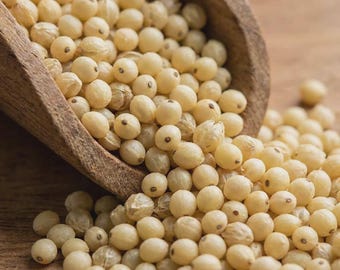 Himalaya-Hirse (Jhangora), 500 g | Ganzes indisches Getreide