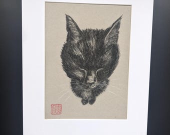 Cat, Original charcoal drawing by Jane Stalham