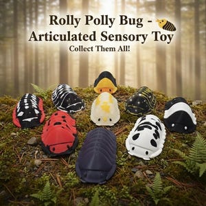 Medium Rolly Polly Bug - Articulated Sensory Toy