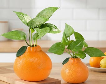 Orange Shaped Plant Pot, Creative Fruit Flower Vase, Plastic Decorative Planter, Cute Home Decor, Indoor Plant Holder Gift