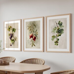 May include: Three framed botanical prints with watercolour fruit illustrations. One shows purple grapes, another red pomegranates, and the third green berries. The prints are in light wood frames.