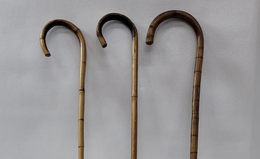 Vintage Bamboo Can Walking Sticks Set of 3 Etsy
