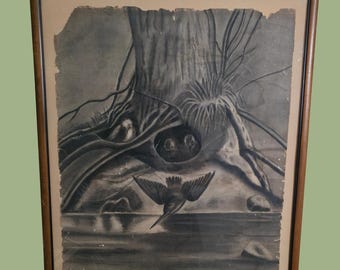 1930s Charcoal Bird Nest Drawing, Primitive Gothic Wall Art Dark Academic