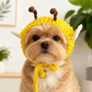 Peut inclure: Un petit chien portant un costume d'abeille jaune crocheté. Le costume comprend un chapeau jaune avec des antennes marron et des ailes blanches. Une cravate jaune avec une petite cloche dorée est autour du cou du chien. Le chien a des poils bruns et blancs.