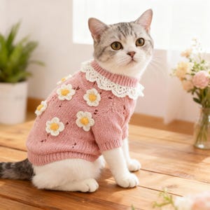 Op de afbeelding: Een grijze en witte kat draagt een roze trui versierd met witte en gele madeliefjes. De trui heeft een witte kanten kraag. De kat zit binnen bij een raam en bloemen.