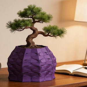 May include: A bonsai tree with green foliage and a brown trunk sits in a geometric purple pot. A white mug, a notebook, and a pen are on a wooden desk, with a lamp in the background. The scene evokes a sense of calm.