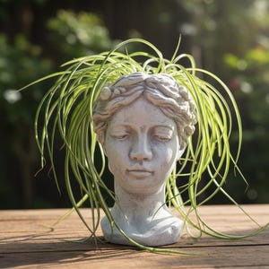 Cherub Head Planter Cement - Choose Your Size: Small 16cm or Large 25cm