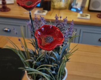 Two- 3A Garden Poppy Stakes, 28cm