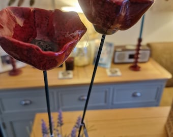 Two- 3A Large Garden Poppy Stakes, 57cm