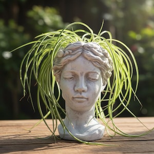 Cherub Head Planter Cement - Choose Your Size: Small 16cm or Large 25cm