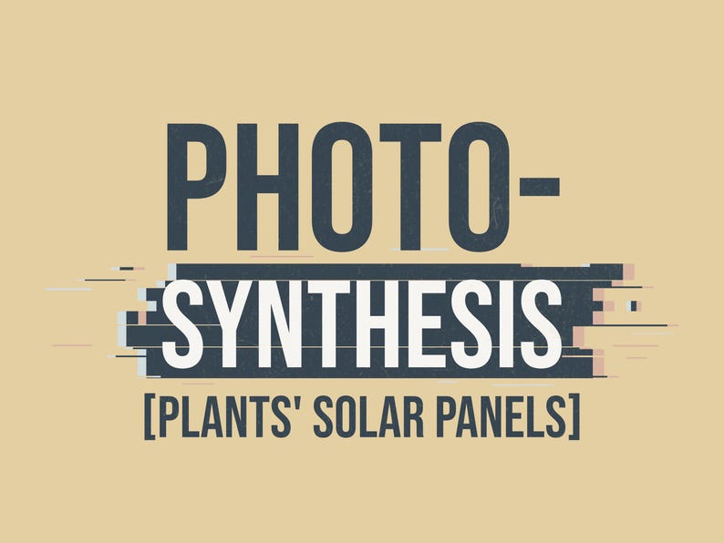 Photosynthesis [plants’ Solar Panels] – Biology Classroom Decor ...
