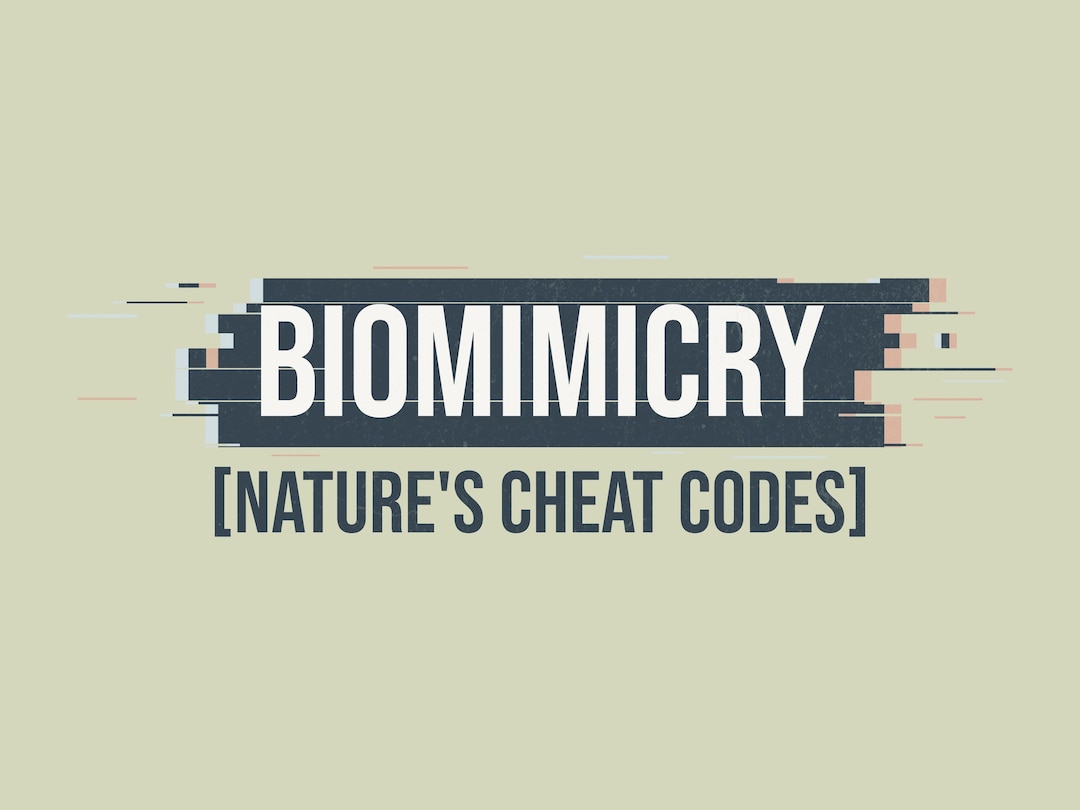 Biomimicry [nature's Cheat Codes] – STEM Classroom Decor, Biology Print ...