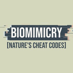 Könnte beinhalten: Das Bild zeigt das Wort "BIOMIMICRY" in Weiß, vor einem dunkelblauen rechteckigen Hintergrund mit Glitch-Effekten. Darunter steht der Text "[NATURE'S CHEAT CODES]" in einer serifenlosen Schrift, alles auf hellgrünem Hintergrund.