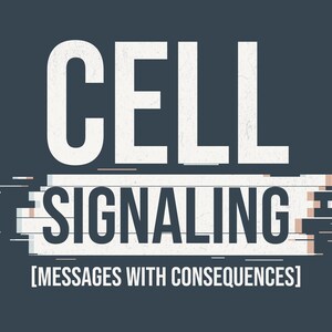 Könnte beinhalten: Grafikdesign mit den Worten "CELL SIGNALING" in großen weißen Buchstaben auf dunklem Teal-Hintergrund. Darunter wird der Text "[MESSAGES WITH CONSEQUENCES]" angezeigt.