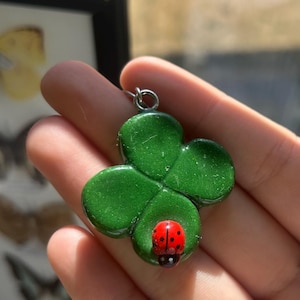 May include: A four-leaf clover pendant with a glossy green finish and a small, red ladybird with black spots attached to one of the leaves. The clover has a smooth, rounded shape and includes a silver-toned metal jump ring at the top for hanging.