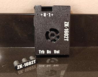 Custom Amp Case and Mount for ZK-1602T