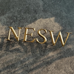 May include: Gold-colored metal letters spelling out the word "NESW" are displayed against a textured, gray background. The letters are in a serif font and appear to be three-dimensional, casting shadows.