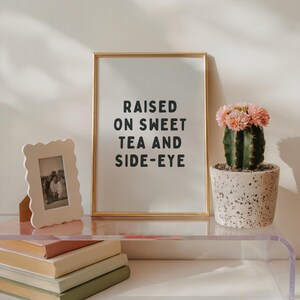 May include: A framed print with the text "RAISED ON SWEET TEA AND SIDE-EYE" sits on a clear shelf, next to a small framed photo and a potted cactus with pink flowers. A stack of books is visible below.
