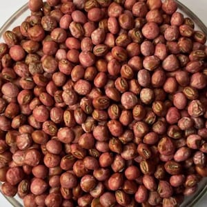 Può includere: Primo piano di una ciotola di vetro piena di numerosi semi marrone-rossastri. I semi sono piccoli, rotondi e hanno una superficie leggermente strutturata. I semi sono un mix di tonalità chiare e scure di marrone e rosso.