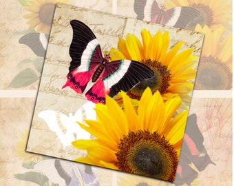 Vintage Sunflower Butterfly digital collage sheet 4x4 inch tiles instant download and printable for scrapbooking, coasters and more...