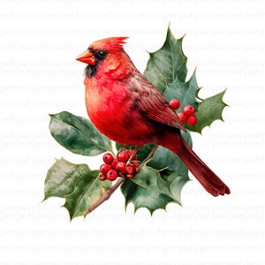 May include: A watercolour illustration of a bright red cardinal bird perched on a branch with green holly leaves and red berries. The bird has a black mask and a prominent crest. The artwork is set against a white background, evoking a festive holiday theme.
