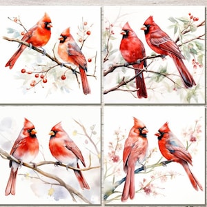 May include: A set of four square prints featuring watercolor paintings of red cardinal birds perched on branches. Each print showcases a pair of cardinals with varying floral and berry accents. The text "Instant Download. Printable Digital Graphics" is at the bottom.