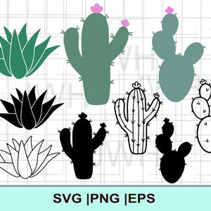 Cactus SVG, PNG, EPS, descarga instantánea, paquete de cactus, descarga digital, clipart botánico del desierto, vector de cactus, archivos SVG para Cricut