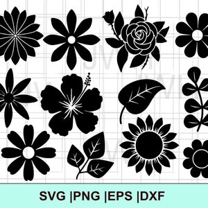 Flor SVG, PNG, EPS, DXf, Download digital, Pacote de flores, arquivos Svg para Cricut, Clipart de silhueta de flor, Floral SvG